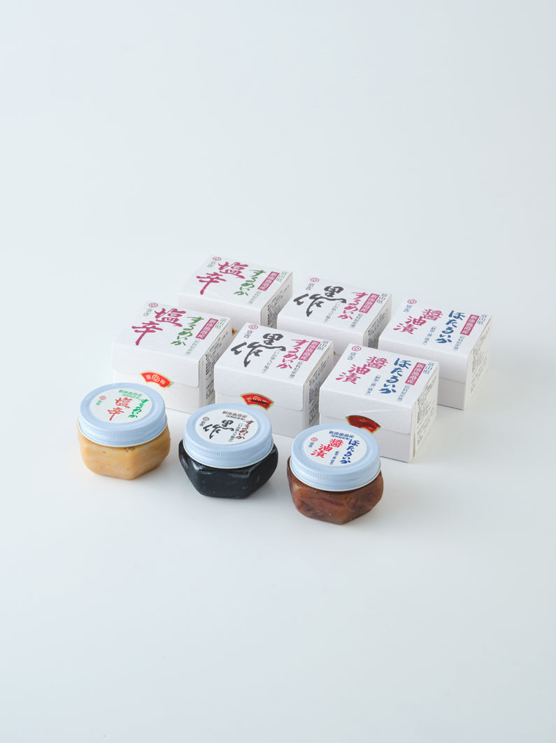新湊産 するめいか・ホタルイカシリーズ3種セット（塩辛・黒作り